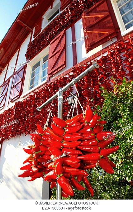 Espelette Peppers, Chili peppers left to dry at the walls of the houses, Espelette, Aquitaine, Basque Country, Pyrenees Atlantiques, 64, France