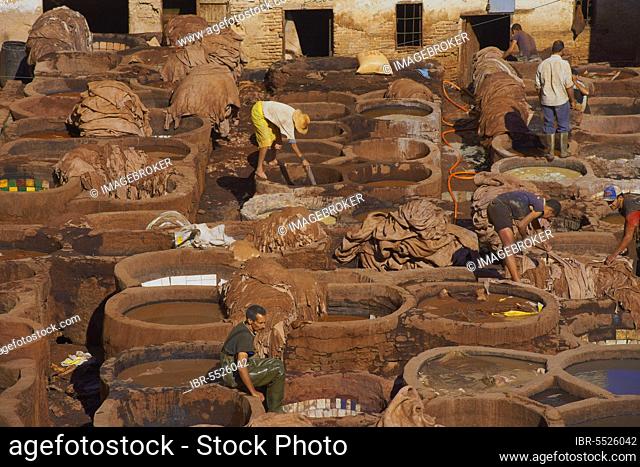 Fes, Traditional Tanneries with Dyeing Tubs, The Chouwara, Chouara, Tannery, Old Town, Medina, UNESCO World Heritage Site, Fes el Bali, Maghreb, North Africa