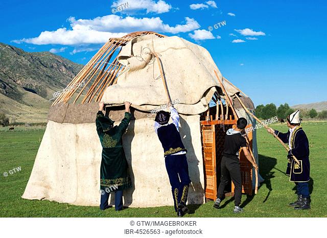 Kazakh men putting up a yurt, Sati village, Tien Shan Mountains, Kazakhstan