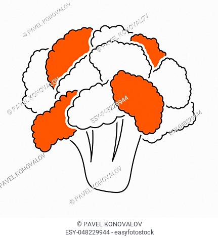 Cauliflower Icon. Thin Line With Orange Fill Design. Vector Illustration