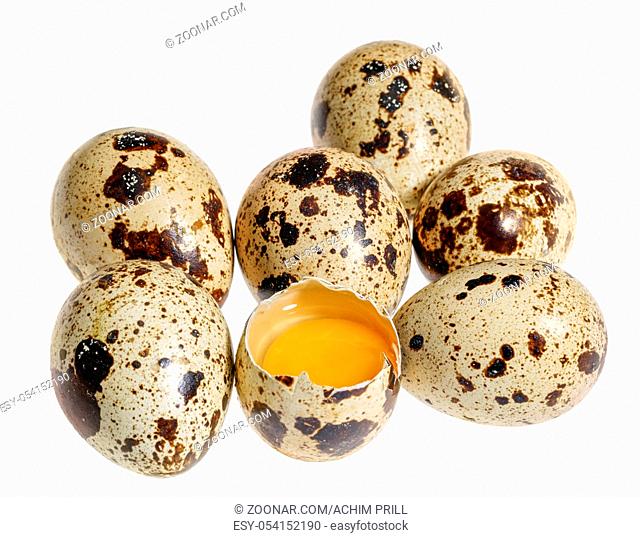some brown dappled quail eggs with a opened one in white back