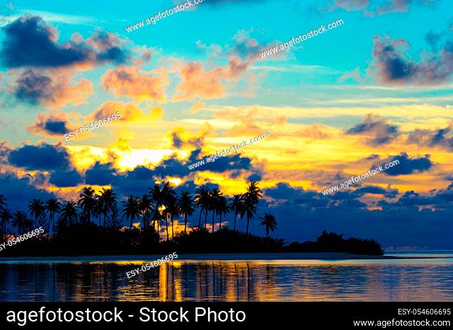 Sunset at the seaside with dark silhouettes of palm trees and amazing cloudy sky
