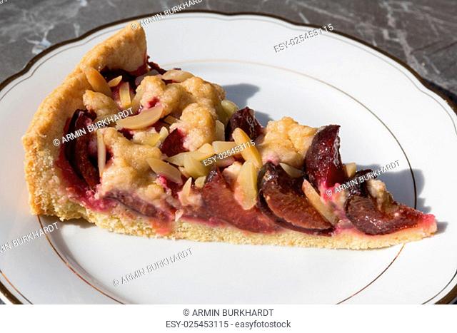 piece of plum cake, in different views