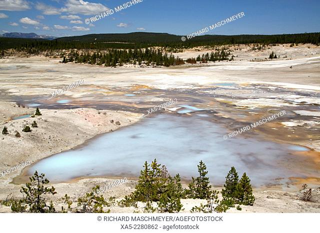 Porcelain Basin, Norris Geyser Basin, Yellowstone National Park, Wyoming, USA