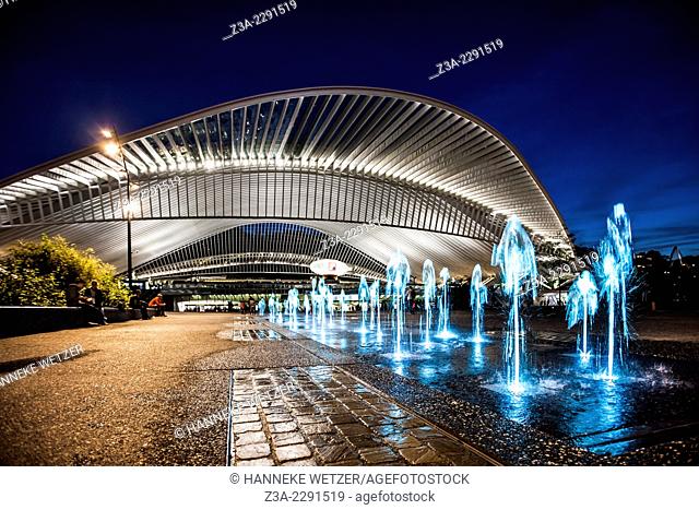 Liège-Guillemins central station, designed by architect Santiago Calatrava, Belgium