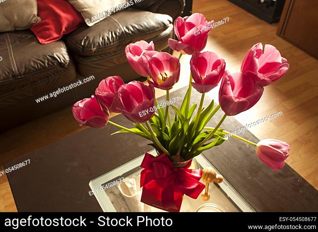 Bouquet of pink tulips the gift for Valentine's day