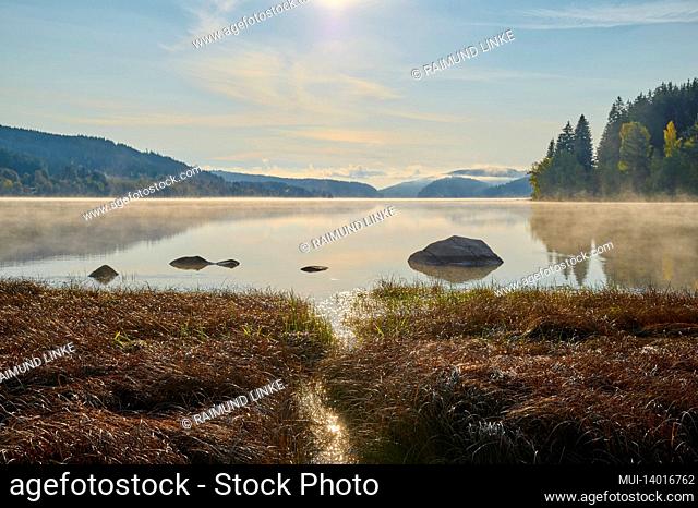 lake, fog, sunrise, morning, autumn, schluchsee, black forest, baden-württemberg, germany