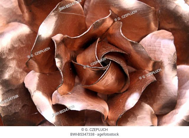 imitation of a rose with copper