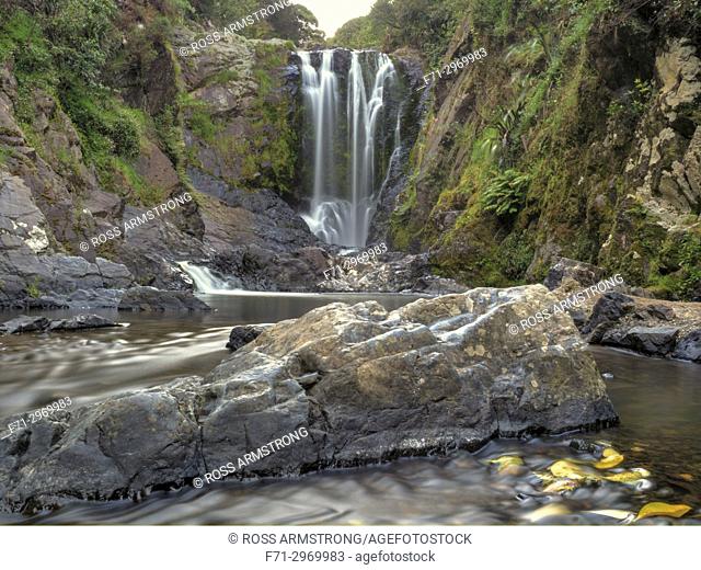Piroa waterfall in the Waipu Gorge, Northland, New Zealand