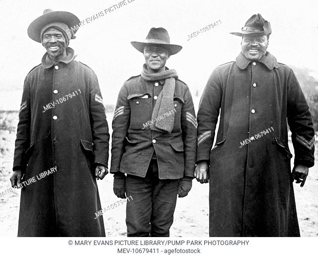Three black soldiers (NCOs) at a camp on the Western Front in France during World War One