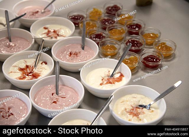 Bowls with fruit quark, yoghurt, jam, general, feature, edge motif, symbolic photo The Brotzeit project is intended to enable children to start the school day...
