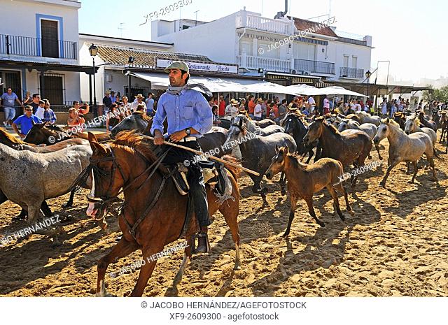 Saca de las yeguas festival.El Rocío.Almonte.Huelva province.Andalusia.Spain