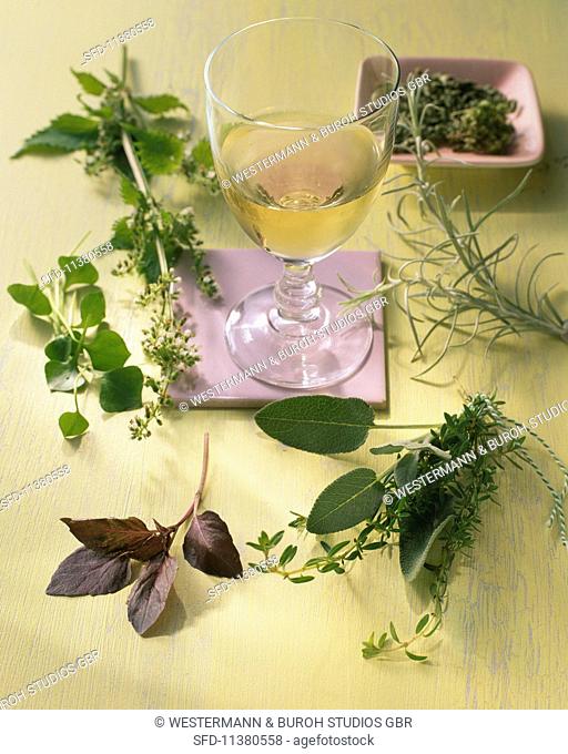 Various herbs for drinks