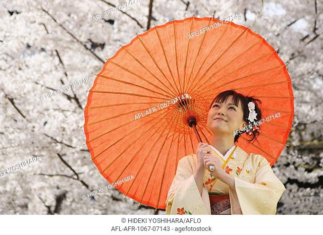 Woman Dressed in Kimono Standing Holding Parasol