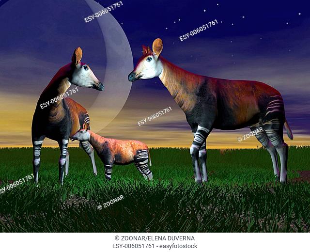 Okapi family - 3D render