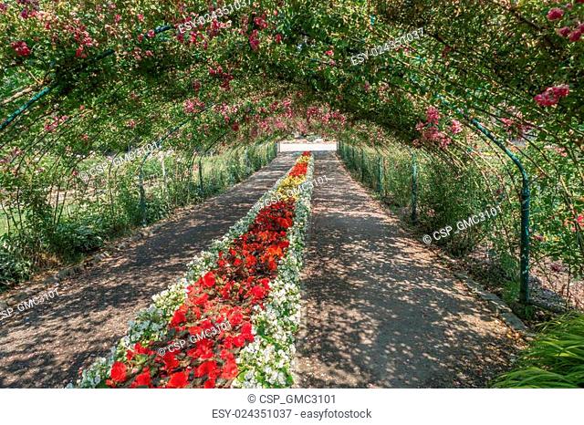 Rose Arbor At Point Defiance 3 Stock Photo Picture And Low