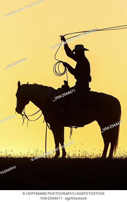 Single wrangler (cowboy) on horse at sunset, California, USA
