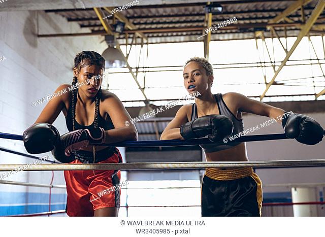 Front view of female boxers leaning on ropes and looking at camera in boxing ring at boxing club. Strong female fighter in boxing gym training hard