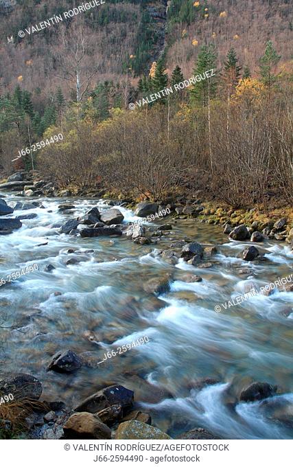Arazas river in the valley of Ordesa. Ordesa National Park. Huesca