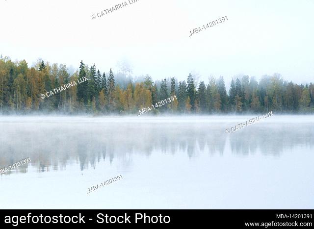 Sweden, Varmland, morning mood at lake Övre Brocken, wafts of fog