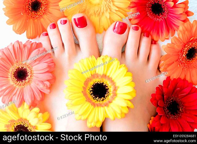 Toenails after pedicure with red nail varnish or color between flowers