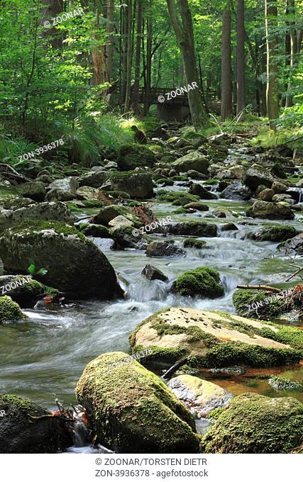Gebirgsbach Ilse im Nationalpark Hochharz, in Sachsen-Anhalt / Deutschland, im Herbst, Mountain stream Ilse in the Harz National Park