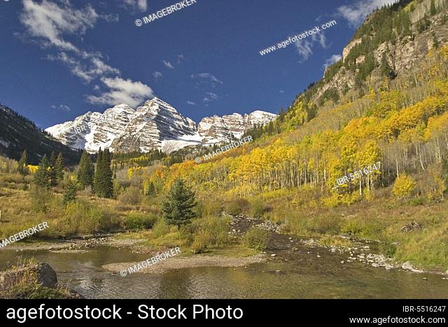 Aspen Trees in Autumn Colour Maroon Bells, Colorado, Snow-Capped Mountains