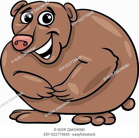 bear animal cartoon illustration