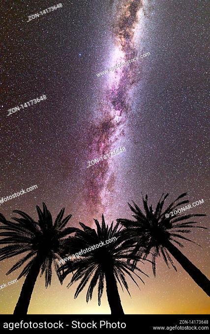 A view of a Meteor Shower and the purple Milky Way with three palm trees silhouette in the foreground. Night sky nature summer landscape