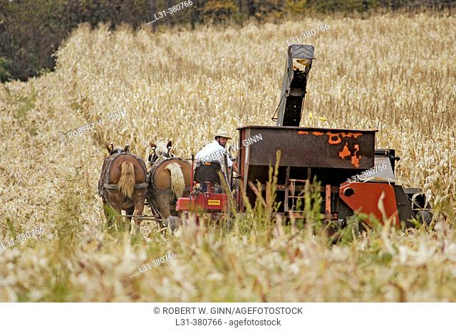 Amish of the American Heartland:  Ohio, Indiana, Pennsylvania