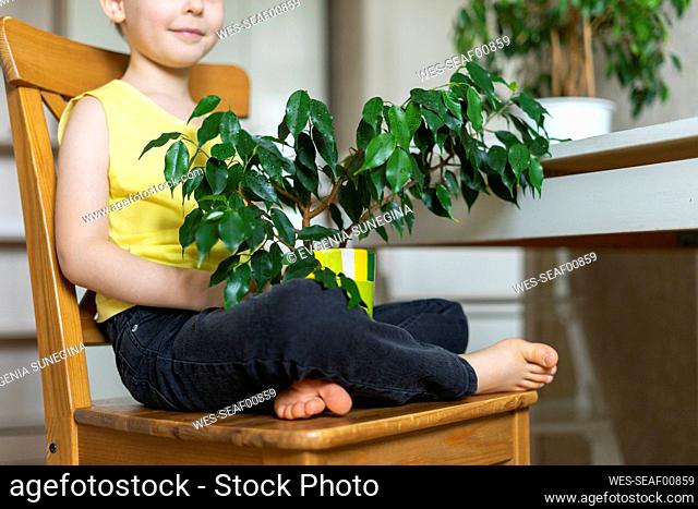 Smiling boy holding houseplant sitting on chair at home