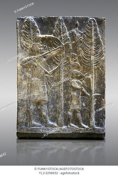 Stone relief sculptured panel of a a bird hunt. Inv AO 19886 from Dur Sharrukin the palace of Assyrian king Sargon II at Khorsabad, 713-706 BC