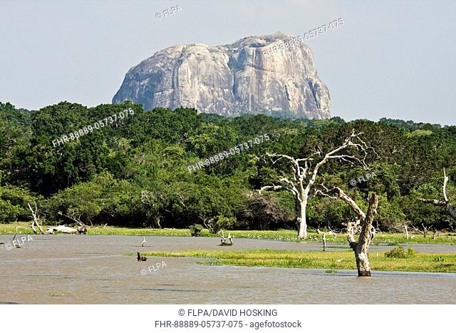 Elephant rock at Yala National Park Sri Lanka