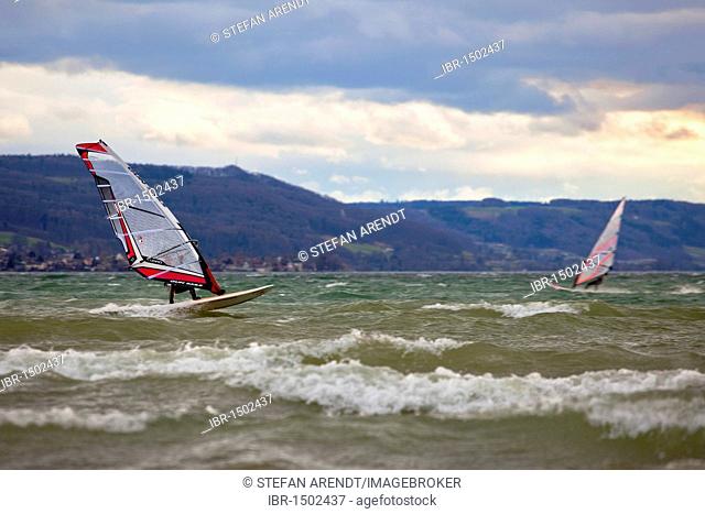 Windsurfer on Lake Constance during strong wind, seen from the island of Reichenau, Baden-Wuerttemberg, Germany, Europe