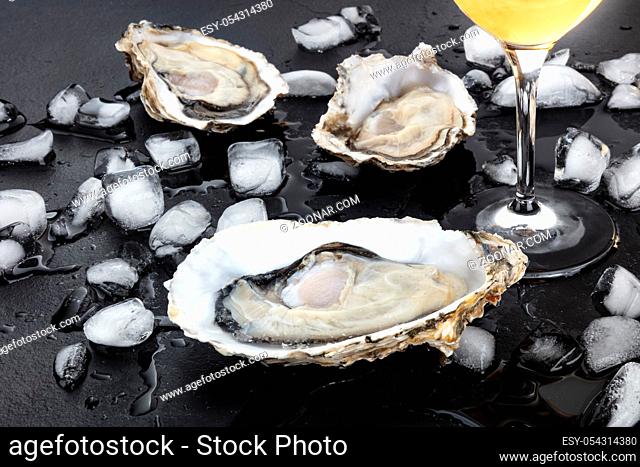 Fresh raw oysters, a close-up on ice with a glass of white wine, on a black background