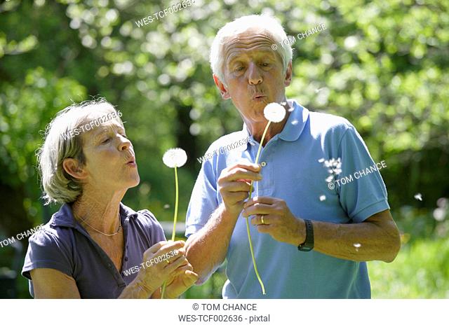 Germany, Bavaria, Senior couple blowing blowball