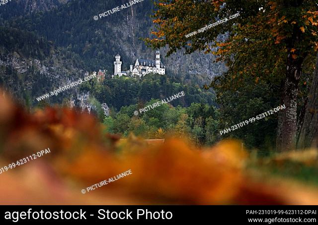 19 October 2023, Bavaria, Schwangau: Neuschwanstein Castle stands in the autumnal landscape. Photo: Karl-Josef Hildenbrand/dpa