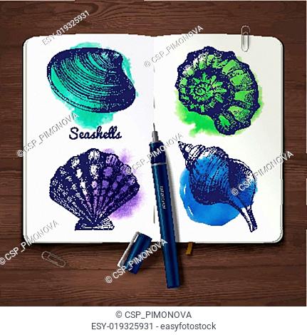 Set of hand drawn sketch and watercolor seashells. Sketchbook pa