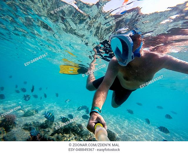 Snorkel swim in underwater exotic tropics paradise with fish and coral reef, beautiful view of tropical sea. Egypt, Marsa Alam