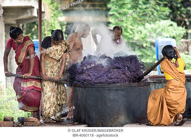 Dyeing of ropes made of coconut fibres or coir, coconut fibre industry, factory, Alappuzha, Kerala, India, Asia