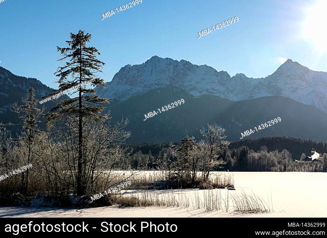 Winter on the shores of Lake Barmsee, the starry sun sends its rays over the frozen lake in the Bavarian Alps, while the trees are still partly covered with...