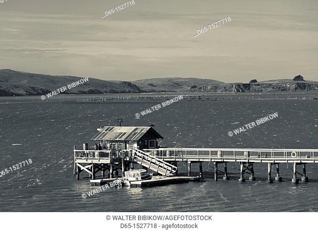 USA, California, Northern California, North Coast, Tomales Bay, Nicks Cove, old pier