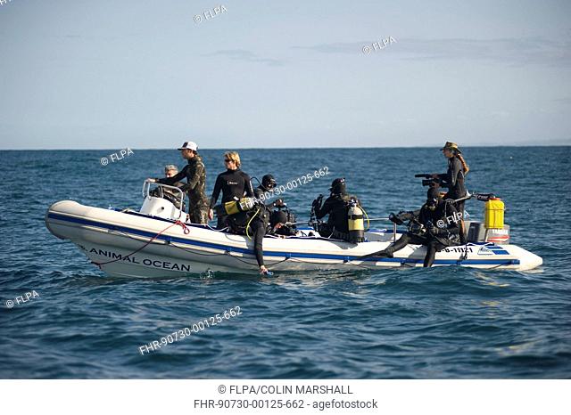 Tourist divers about to get into water from inflatable boat, offshore Port St Johns, Wild Coast, Eastern Cape Transkei, South Africa