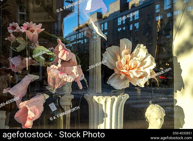Copenhagen, Denmark, A window display with large plastic and paper flowers