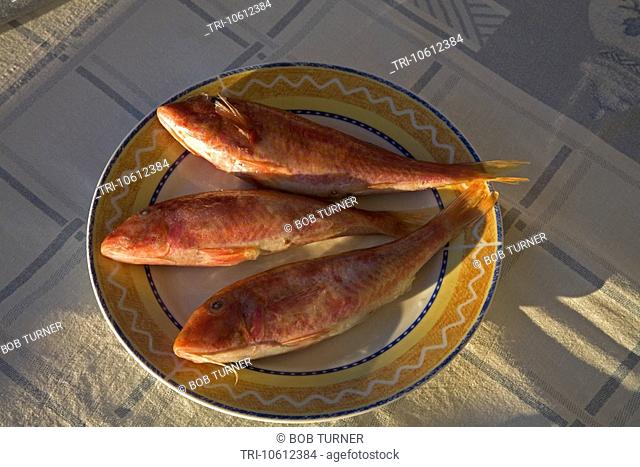 Three red fish on a plate samos greece