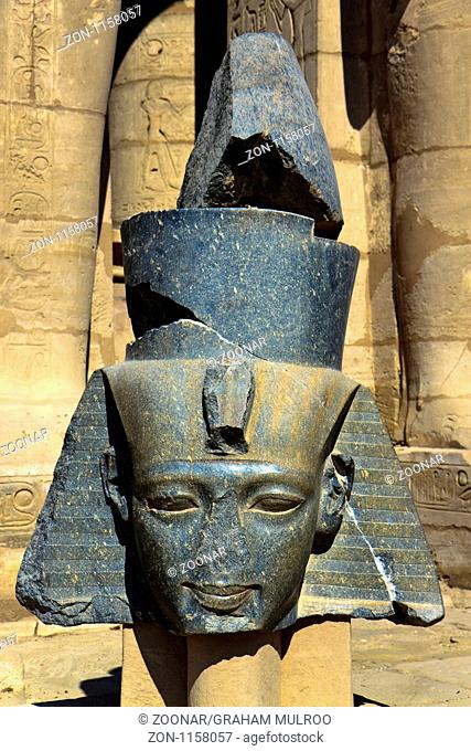 Egypt Ramesseum Head Of Ramessess II