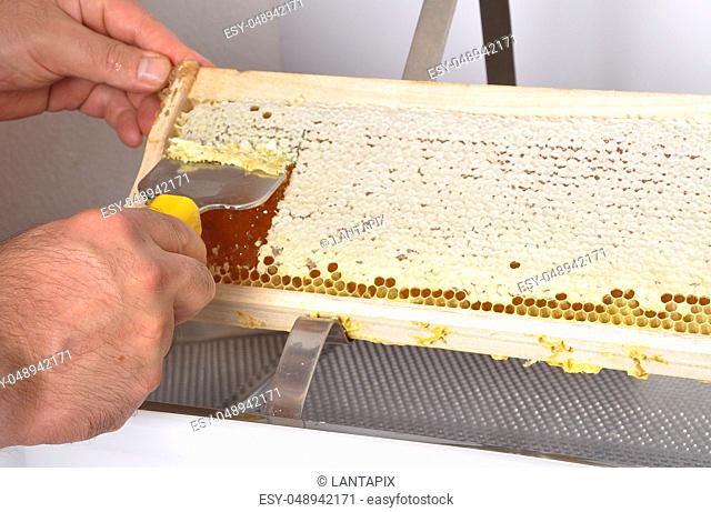 Uncapping of honeycomb at plastic tub