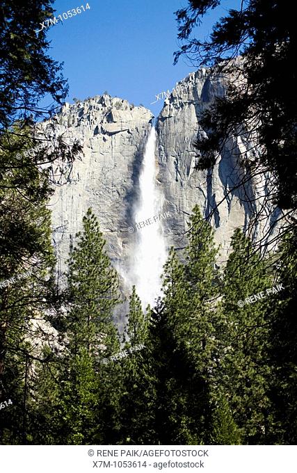Upper Yosemite Falls at Yosemite National Park