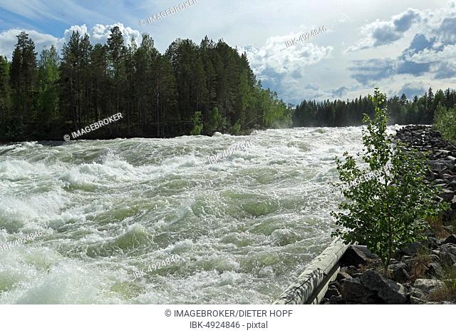 Rapids Storforsen in the River Piteälven, Vidsel, Lapland, Sweden, Europe