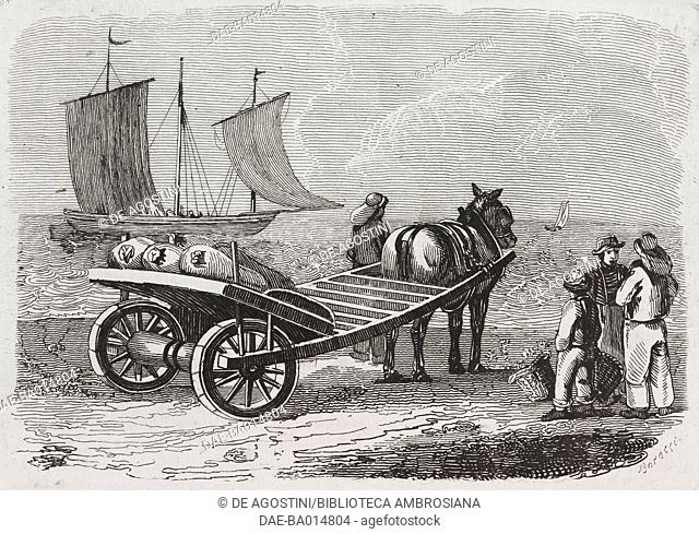 Cart for transporting herring in Yarmouth, Isle of Wight, United Kingdom, engraving from L'album, giornale letterario e di belle arti, March 31, 1838, Year 5